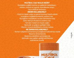 BUZAĞI BOLUSU 6 AY ETKİLİ (20’Lİ)