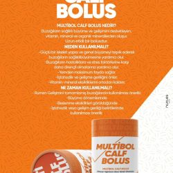 BUZAĞI BOLUSU 6 AY ETKİLİ (20’Lİ)