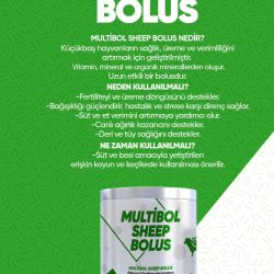 MULTİBOL KOYUN KEÇİ BOLUSU 30’LU