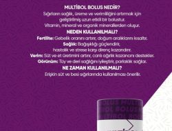 İNEK VE BESİ BOLUSU 6 AY ETKİLİ (10’LU)