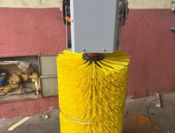 OTOMATİK HAYVAN KAŞIMA FIRÇASI