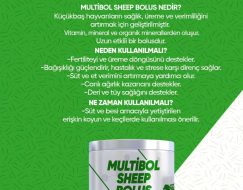 KOYUN VE KEÇİ BOLUSU 6 AY ETKİLİ (30’LU)