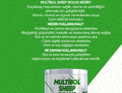 KOYUN VE KEÇİ BOLUSU 6 AY ETKİLİ (30’LU)