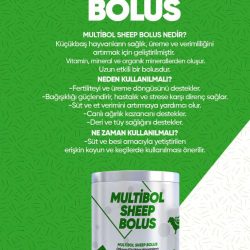 KOYUN VE KEÇİ BOLUSU 6 AY ETKİLİ (30’LU)