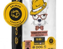 DOG LOVER SOMONLU YETİŞKİN KÖPEK MAMASI 2KG  (KARGO HARİÇ)