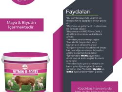 VİTMİN B-FORTE 20 KG