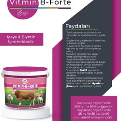 VİTMİN B-FORTE 20 KG