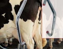 TEKME ÖNLEYİCİ KALVANİZ