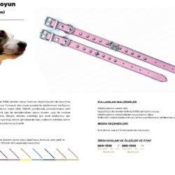 AKSESUARLI BOYUN TASMASI 1,5-CM