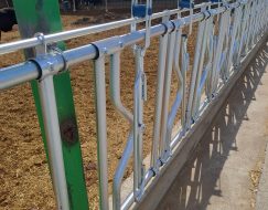 BÜYÜKBAŞ YEM KİLİT SİSTEMİ