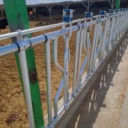 BÜYÜKBAŞ YEM KİLİT SİSTEMİ 48 3 ML KALVANİZ