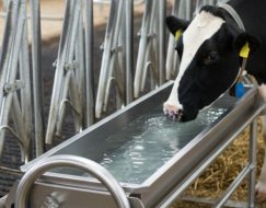 DEVİRMELİ 304 PASLANMAZ KROM SULUK