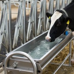 DEVİRMELİ 304 PASLANMAZ KROM SULUK 150 LT