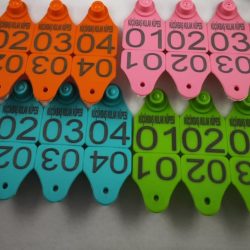 KÜÇÜKBAŞ HAYVAN KULAK KÜPESİ BASKILI