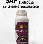ŞAPDUR DEZENFEKTAN 1 LT (KARGO HARİÇ)
