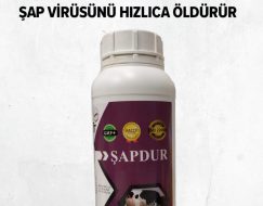 ŞAPDUR DEZENFEKTAN 1 LT (KARGO HARİÇ)
