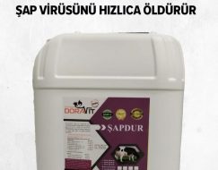 ŞAPDUR 5 LT (KARGO HARİÇ)