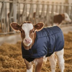 BUZAĞI YELEĞİ (POLARLI)